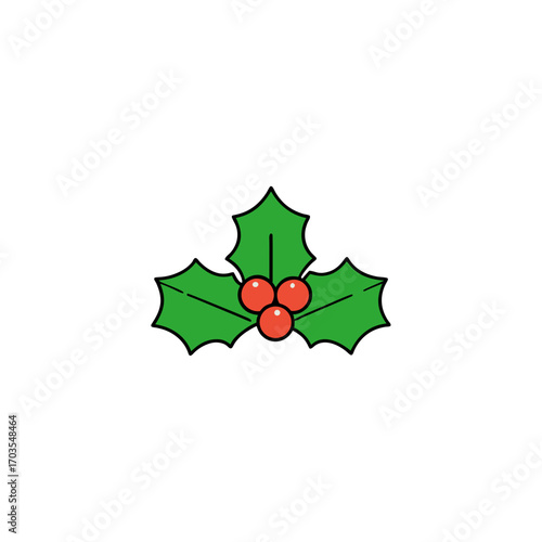 Illustration of holly with berries and leaves on transparent background