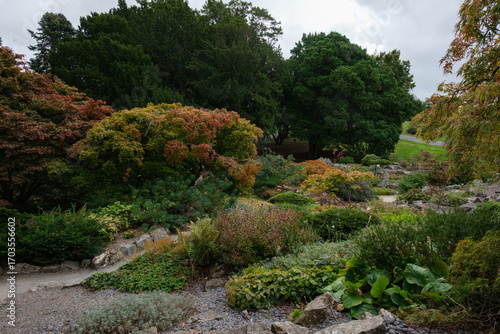 Photography Vibrant Flowerbeds at the National Botanic Gardens in Dublin, Ireland