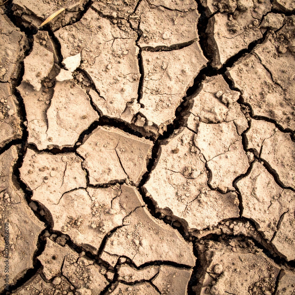 Fototapeta premium Cracked Earth Background Texture with Arid Soil and Ground Surface Pattern