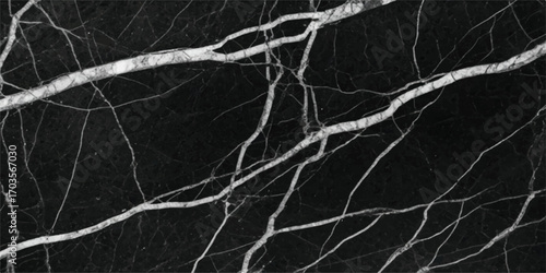 Elegant black marble with striking white veining for luxurious interior design