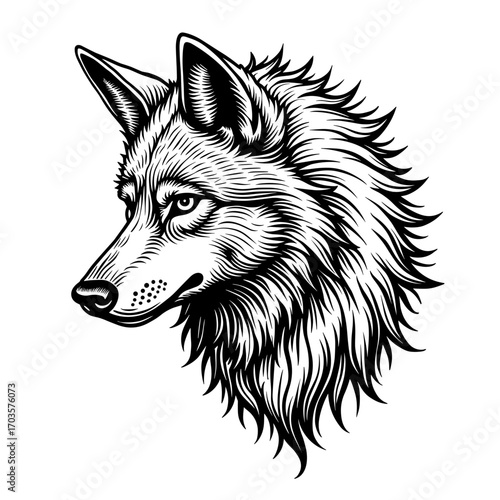 Wolf head howling in detailed black and white sketch style perfect for Halloween werewolf and night themes - Halloween - wolf - werewolf - spooky - animal - horror