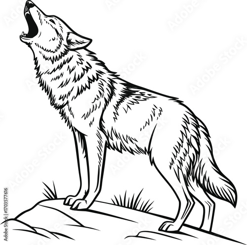 Vector portrait of a wild gray wolf in the snow