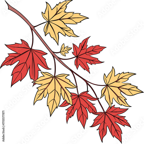 Vibrant autumn leaves create a seamless pattern of maple and oak foliage against a white background