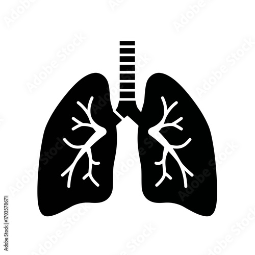 Vector illustration of human heart and lungs anatomy with summer beach flip flop sandals