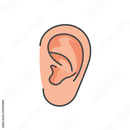 Vector angry bald man face illustration