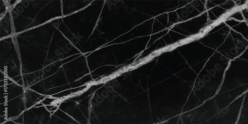Elegant black marble surface with striking white veining for luxurious design