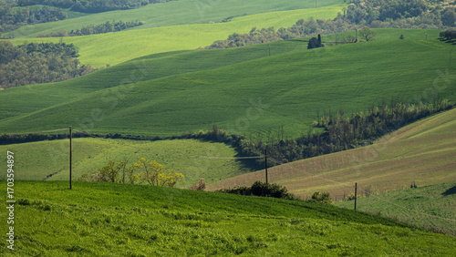 spring countryside landscape over the tuscany hills