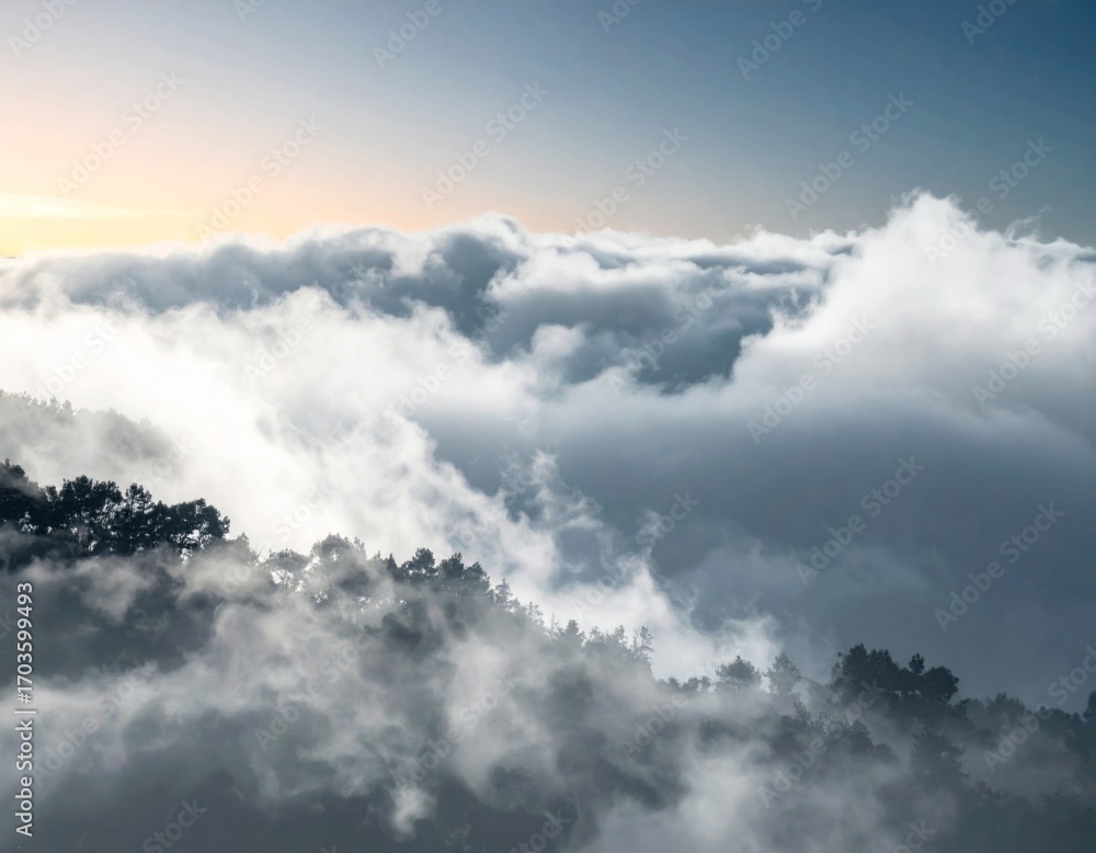Obraz premium Dense Fog Over Green Forest Trees on Mountainside Under Cloudy Sky in Overcast Weather
