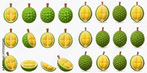 Collection of durian fruit illustrations, showing whole and halved fruit with yellow flesh.