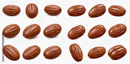 Multiple nutmeg seeds are arranged in a grid formation on a transparent background.
