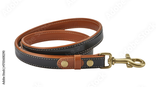 Rolled Brown and Black Leather Dog Leash with Brass Clasp on White Background pet accessory