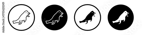 Sea lion icon collection in black and white filled and outlined style for web.
