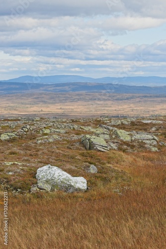 A white boulder in the hills near Storlien, Sweden