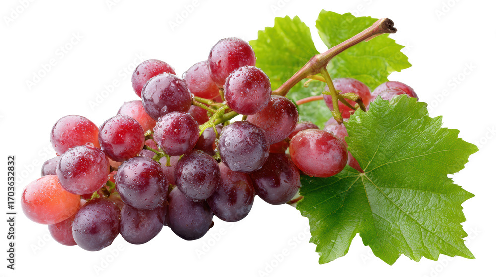 Fototapeta premium Fresh red grapes with green leaves on white isolated background.