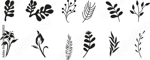Flowers and Leaves Design Elements