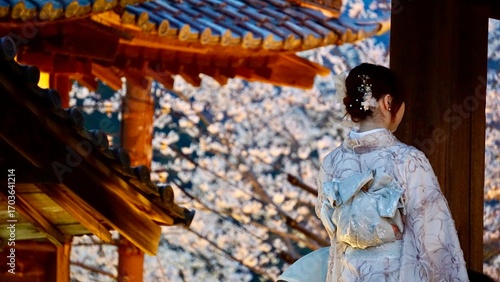 Closeup of a women in a Japanese Kimono with temple and cherry blossoms in the background