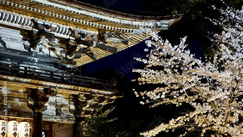 Night view of a Japanese temple gate with lit lanterns