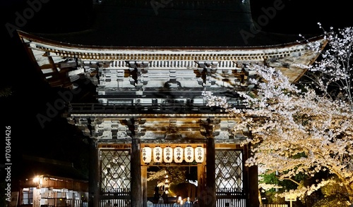 Night view of a Japanese temple gate with lit lanterns