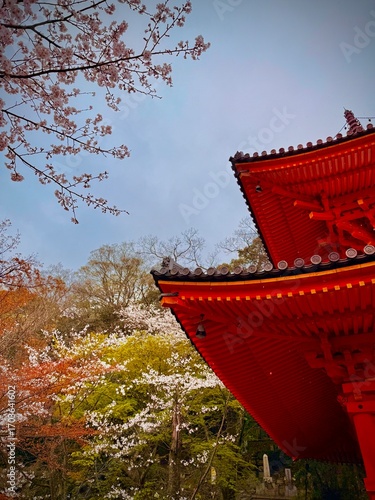 red Japanese temple roof with cherry blossoms in full bloom