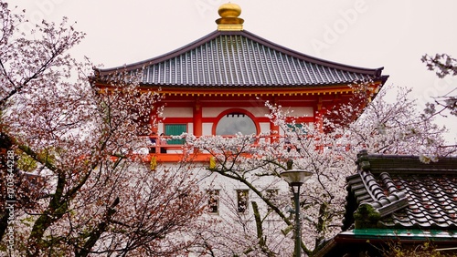 Kiimidera temple, traditional japanese pagoda building rooftop, foreground of blooming cherry blossom trees