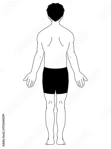 解剖学的正位　男性　背面　線画　服あり