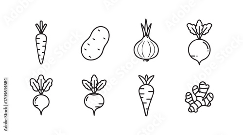 Collection of hand drawn root vegetable silhouettes on white background