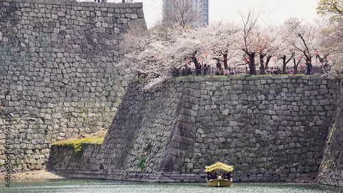 Photography Golden boat in Japanese castle high-walled moat beneath blooming cherry blossom