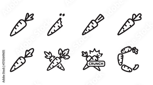 Collection of hand drawn carrot icons and illustrations silhouette