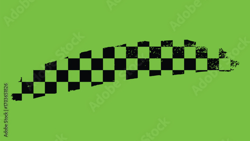 Checkered Eel Silhouette on Green.