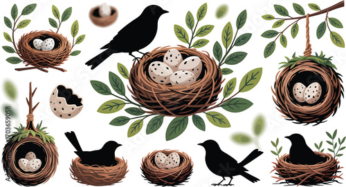 Bird Nest with Eggs Vector Illustration Set for Spring, Nature, and Wildlife Designs