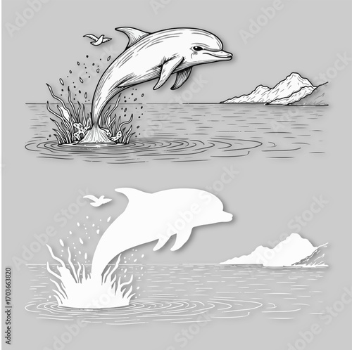 dolfin and water vector illustration desgine