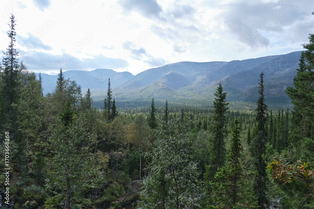 Fototapeta premium Panorama of a mountain gorge with a forest massif on a bright sunny autumn day. Tourist place for rest