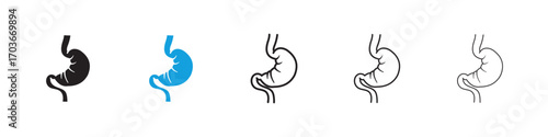 Stomach Icon collection for web design