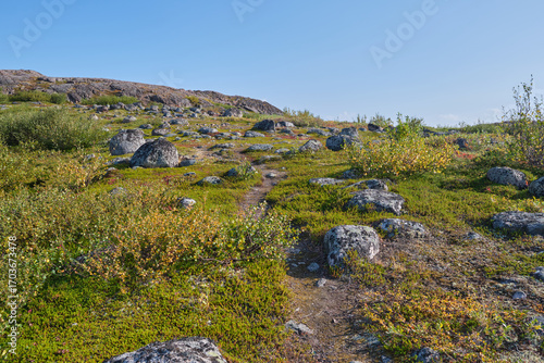 Tundra landscape on a bright autumn day