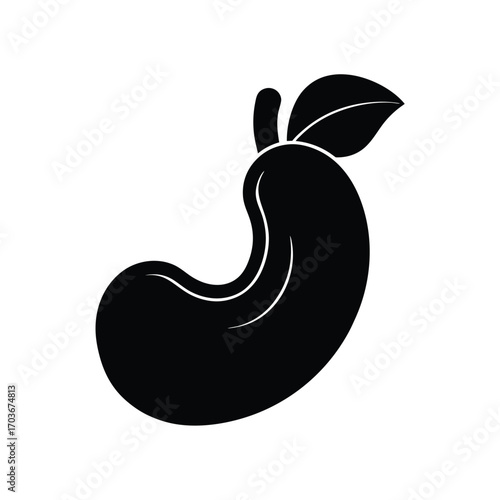 Cashew Icon