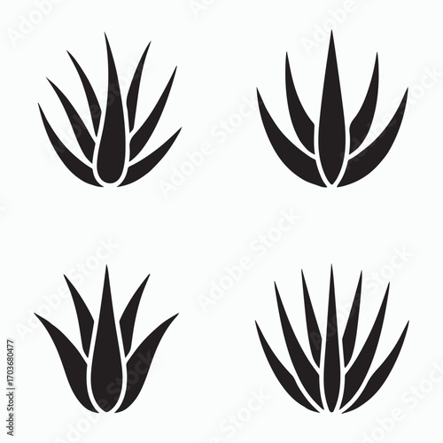 Aloe vera plant icons set design