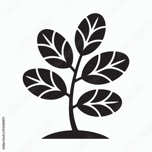 Solid coffee bean plant black icon