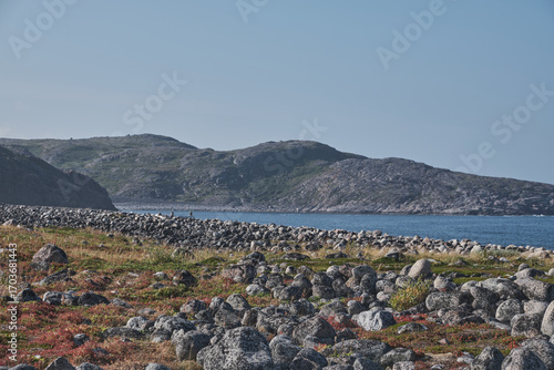 Tundra landscape on the Barents Sea coast on a bright autumn day. Autumn beauty of nature.
