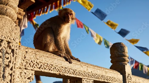Monkey on Carved Stone Railing with Prayer Flags