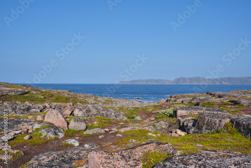 Tundra landscape on the Barents Sea coast on a bright autumn day. Autumn beauty of nature.