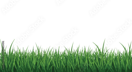 Close-up illustration of vibrant green grass blades against a white background, perfect for design.