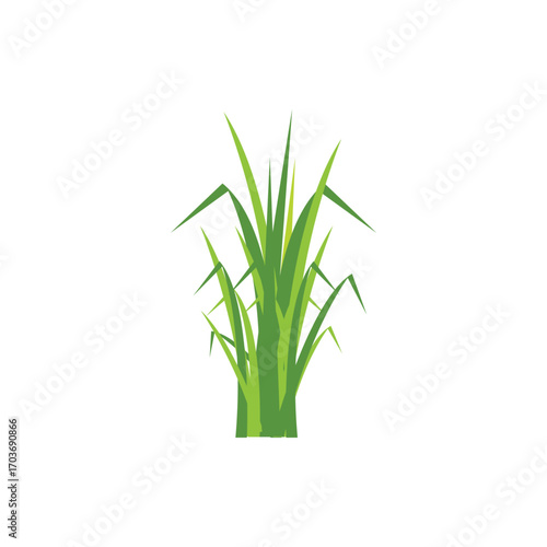 Green grass illustration with fresh blades in cartoon style. Perfect for nature design, lawn decoration, garden elements, eco concept, landscape vector, and outdoor scene artwork.