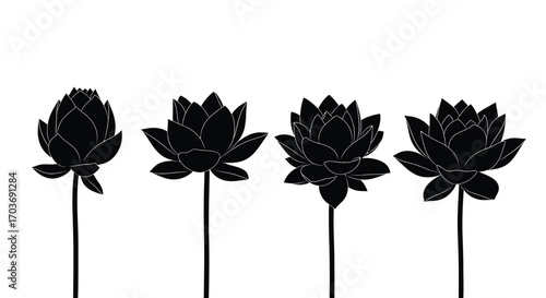 Four black lotus flower silhouettes standing tall isolated on white studio background vector