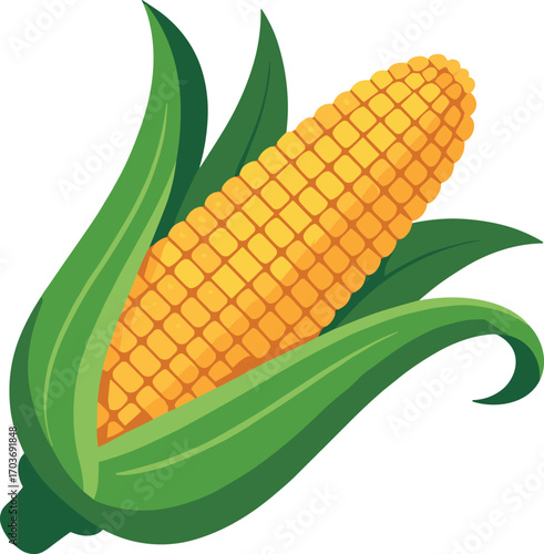 Corn Cob with Green Leaves on White Background husks fresh