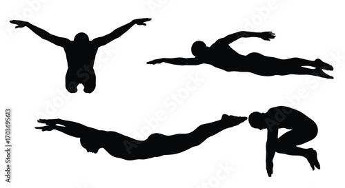 Dynamic silhouettes of swimmers in various strokes and poses vector