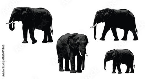 Majestic african elephants silhouette collection diverse poses animal wildlife vector