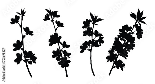 Four silhouette branches with blossom flowers delicate spring nature elements isolated vector