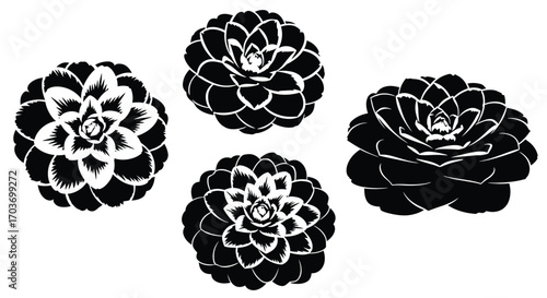 Four stylized succulent plant silhouettes offering natural organic decorative beauty vector