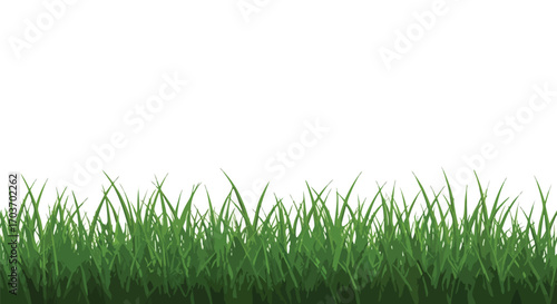 A vibrant illustration of green grass blades against a stark white background, creating a clean and natural aesthetic.