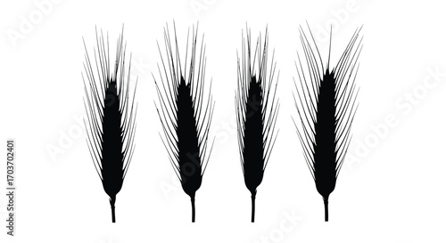 Four black wheat stalks silhouettes isolated on agriculture harvest concept vector